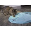 SmartyKat Hot Pursuit Electronic Concealed Motion Cat Toy, Battery Powered - Blue, One Size