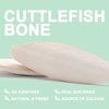 Mivofun Cuttlebone for Birds Parakeets Canaries Cockatiels Small Conures Mynahs Toucans African Greys All Parrots Snails Totoise,Natural Cuttlefish Bone for Bird Cage (7"-7.5"(Pack of 6))