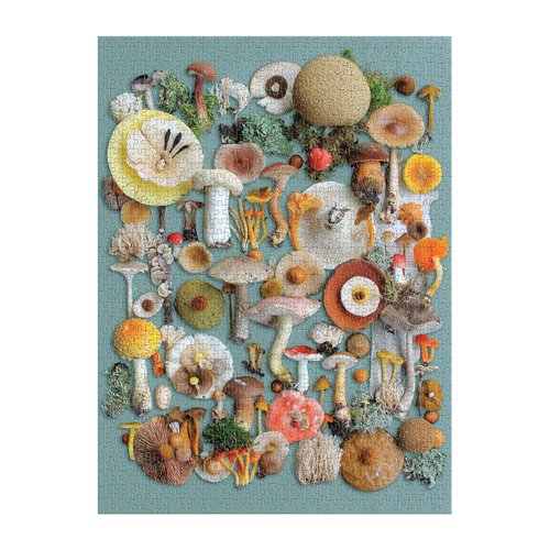 Galison Foraged – 1000 Piece Puzzle Fun and Challenging Activity with Bright and Bold Artwork of A Mushroom Collection for Adults and Families
