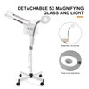 Professional 3 in 1 Facial Steamer Upgrade Esthetician Steamer with hot & Cold Nozzle 5X LED Magnifying Lamp Beauty Salon Spa