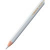 Caran d'Ache Pablo Colored Pencil, Light Grey (666.003)