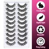 Veleasha Lashes Russian Strip Lashes Eyelashes with Clear Band Looks Like Eyelash Extensions D Curl Lash Strips 10 Pairs Pack (DT01)