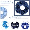 Whaline 10Pcs Blue Hair Ponytail Holders Bulk Hair Scrunchies Elastic Hair Bands Gradient Blue Satin Fabric Hair Ties for Women Girls Teens Hair Accessories Party Gift Favors