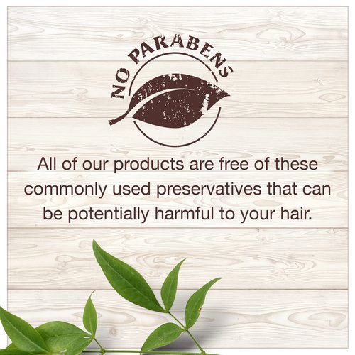 Garnier Whole Blends Moroccan Argan & Camellia Oils Moisturizing Leave-in Conditioner for Dull Hair, 5.1 Fl Oz, 1 Count (Packaging May Vary)