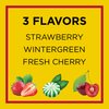 Carmex Daily Care Moisturizing Lip Balm Sticks with SPF, Fresh Cherry, Strawberry and Wintergreen Lip Balm Pack, 0.15 OZ - 3 Count (Pack of 2)