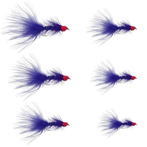 Feeder Creek 12pc Egg Sucking Leech Fly Fishing Streamers Perfect for Salmon, Steelhead, and Other Freshwater Fish (Purple, 10)