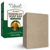 Poison Ivy Soap Bar - All Natural Poison Ivy Treatment - Anti-Itch Skin Cleanser Bar for Poison Ivy, Poison Oak & Sumac - Removes Oils, Soothes & Relieves Rashes - 4 oz Bar Made in USA