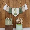 Wild One High Chair Banner For 1st Birthday Party Boy Decorations With Green Tassel Garland Crown Hat Wild One Cake Topper