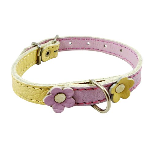 Genuine Leather Designer Dog Collar, Daisy, Studs. 11" x1/2" Wide. Fits 8"-10" Neck, Yorkshire Terrier, Puppies, Maltese