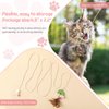YUDANSI Cat Feather Toys 2pack,Retractable Cat Teaser Toys, Self-Adhesive Hanging Interactive Cat Toy for Indoor Cats Kitten Play Chase Exercise Doorway, Gift for Cats Hunting Chasing to Keep Busy