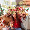 It's the Most Wonderful Time of the Year Banner, Merry Birthday, Happy New Year, Winter Christmas Birthday Party Decorations