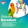 Super Bird Creations SB1088 Birdie Bouquet Toy - Engaging Bird Toys, Enrichment Toy for Parrotlets, Parakeets, Cockatiels and More, Made with Colorful Toy Parts - Small/Medium Birds, 6" x 3" x 2"