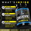 eFlow Creatine Capsules, HCL Creatine Pills - Creatine Supplement for Men & Women, Muscle Builder, Endurance, Strength, with AstraGin and Senactiv (1500mg, 90 Capsules)