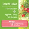 Blistex Lip Enrichment Lip Moisturizer