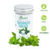 200 Pack Natural Toothpaste Tablet Bits - Chewable Mouthwash Whitening Bite Tablets for Teeth SLS & Fluoride Free Eco & Travel Friendly - Zero Waste Packaging - Mint & Activated Charcoal (Peppermint)