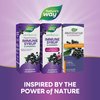 Nature's Way Sambucus Elderberry Immune Syrup, Daily Immune Support*, Black Elderberry Extract, Vitamin C, Zinc, Echinacea, Propolis, 4 Fl Oz (Packaging May Vary)