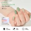 GAOY Jelly Green White Gel Nail Polish Set, 6 Transparent Colors Sheer Gel Nail Kit for Salon Gel Manicure and Nail Art DIY at Home