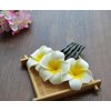 Flower Hair Comb Plumeria Head Piece for Women Girls Hawaiian Floral Hair Clips Pins Bride Bridesmaids Hair Accessories