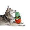 Midlee St. Patrick's Day Hide a Ball Gnome Dog Toy