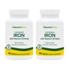 NaturesPlus Chewable Iron - 27 mg, 90 Chewable Tablets - High Potency Supplement with Vitamin C & Herbs, Promotes Healthy Blood, Natural Energy - Vegetarian, Gluten-Free - 90 Servings
