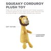 Outward Hound Squeakin' Squiggles Lion Plush Dog Toy