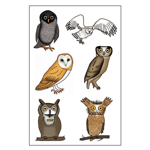 Premium Owl Temporary Tattoos, Party Favors
