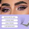WENDY Lashes Premade Fans Eyelash Extensions 1200PCS Eyelash Extension 10D Volume Lash Extensions Loose Promade Fans D Curl Mixed 9-20mm Pointed Base Pre Made Lashes(1200PCS-10D-0.07-D, 9-20mm mixed)