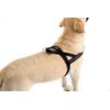 ComfortFlex Sport Harness - American Made No Pull XSmall Dog Harness - Padded, Reflective No Rub Harness for Walking & Running - XSmall, Mariner Blue