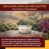 OKAY Pure Naturals White Shea Butter for Hair and Skin - Raw African Shea Butter for Women and Men, Daily Moisturizer for Face and Body, Helps with Stretch Marks, Soothes Dry Skin - 7.5 Oz Jar