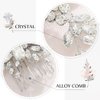 Jakawin Rhinestone Bride Wedding Hair Pice Crystal Hair Comb Bridal Hair Accessories for Women HC088 (Silver)