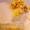 L'Occitane Immortelle Divine Foaming Cleansing Cream 4.90 oz
