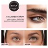 MXNSLWA 2-In-1 Lash and Brow Makeup Kit, Instant Natural Bushy Effect DIY Hair Coloring for Salon Home Use - Up to 6 Applications (Black)