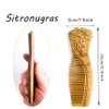 Sitronugras Handmade Carved Green Sandalwood Hair Comb, Fine Tooth Wooden Comb，Anti-Static No Snag Wood Combs for Women Kids,Oriental Gift for women with gift box (Cheongsam)