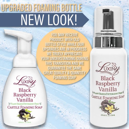 Castile soap, Liquid Foaming Hand Soap, Hand Wash for the Kitchen & Bathroom, Palm Oil Free, Vegan & Cruelty Free, Made in the USA, 8.45 oz., 2 Pack (Black Raspberry Vanilla)