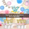 Gender Reveal Party Supplies (99 Pieces) Baby Shower Decorations Set with Bonus Including Cupcake Topper Special Banner Gender Reveal Balloons Paper Flowers Paper Lanterns & Free Sticker