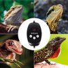 REPTIZOO Reptile Dimming Thermostat Heat Lamp Temperature Controller with LED Digital Screen, Specifically Designed for Light Heat Bulbs & Heaters