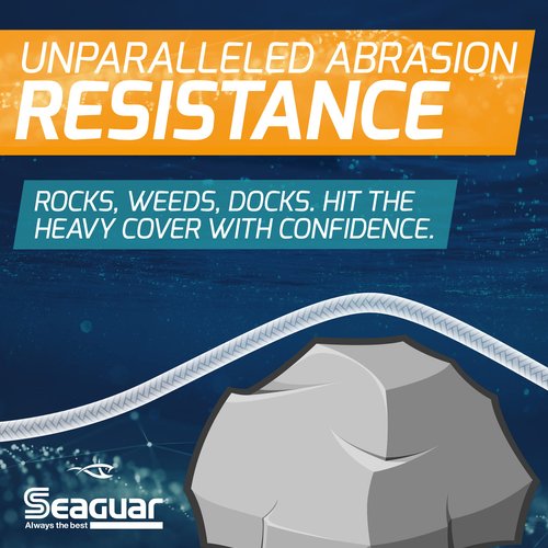 Seaguar 10AX1000 Abrazx 100% Fluorocarbon 1000 Yard Fishing Line (10-Pound), Clear