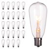 Brightown 24-Pack Edison Replacement Light Bulbs,7W E17 Screw Base ST40 Replacement Clear Glass Light Bulbs for Outdoor Patio ST40 String Lights, Warm White