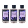 Bath & Body Works Violet Leaf & Blackberry 3 Pack Shea + Vitamin E Shower Gel Bundle - 10 fl oz / 295 mL each