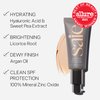 Saie Slip Tint SPF 35 Tinted Moisturizer - Light Coverage Moisturizer + Broad Spectrum Zinc Oxide Sunscreen - Shade Four (1.35 oz)