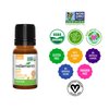 Wellements Organic Baby Tooth Oil | Soothing Massage Oil for Tiny Gums, Helps Make Teething Happy, Made with Safe and Effective Certified Organic Ingredients | 0.5 Fl Oz. 4 Months +