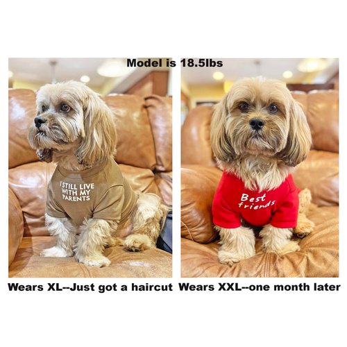Cute Dog Clothes,Dog T Shirt for Medium Dogs.Dog Clothes for Small Dogs Girl Boy,Puppy.Breathable Soft Dog Costume Pet Dogs Cats,Pet Pullover Jumper,Cat Clothes (M-(7~11lb), Chest~16", Khaki)