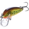 Rapala Countdown 3/16 Oz Fishing lure (Hot Mustard Muddler, Size- 2)