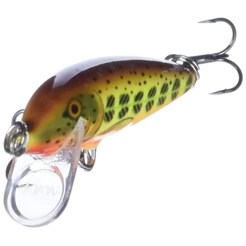 Rapala Countdown 3/16 Oz Fishing lure (Hot Mustard Muddler, Size- 2)
