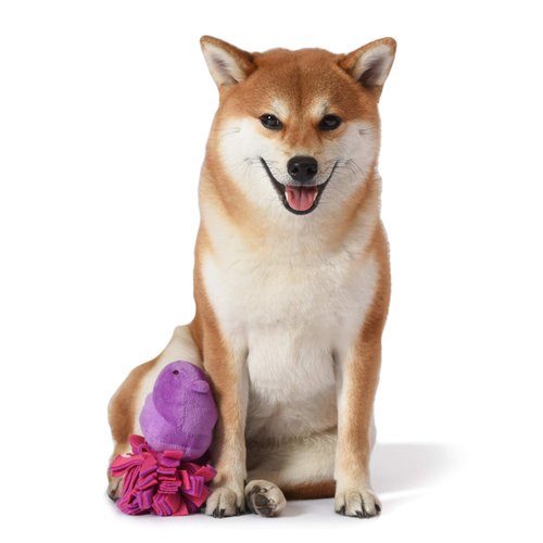 Peeps for Pets Plush Chick Fleece Bottom Dog Toy in Purple and Pink Purple Peeps Chick Dog Toys, Small Plush Dog Toys with Squeaker Soft and Squeaky Dog Toy for Pets