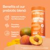 Supergut Foundational Daily Fiber Powder, Sugar Free & Vegan Prebiotic Fiber Blend for Gut Health & Digestive Support, Supplement for Men & Women with Solnul & Sunfiber, Peach Mango, 18 Servings