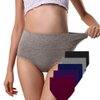ANNYISON Women's High Waisted Cotton Underwear Soft Breathable Panties Stretch Briefs (5 Pack in 5 Drak Colors, L)