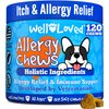 Well Loved Dog Allergy Chews - Dog Allergy Relief, Made in USA, Vet Developed, Hot Spot Treatment for Dogs, Dog Itch Relief, Anti Itch for Dogs, Dog Vitamins, Dog Skin Allergies Treatment, 120 Count