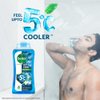 Dettol Body Wash and shower Gel, Cool - 250ml