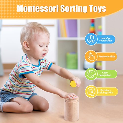 MTTIERY Montessori Wooden Learning Color Sorting Toys for 3 Year olds Learning Toys for Toddlers 3 4 5 Fine Motor Skills Sensory Toys Color & Shape Sorting Sensory Matching Game Baby Gift